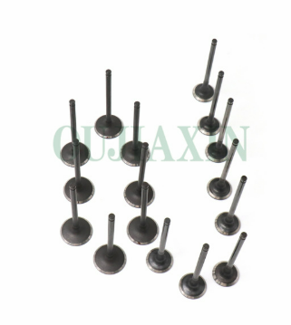 The Engine's Conductor: Understanding the Intake Exhaust Camshaft​