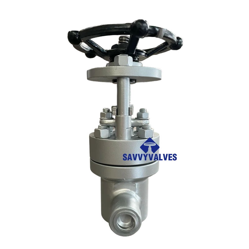 ASTM A182 F22 Parallel Slide Gate Valve