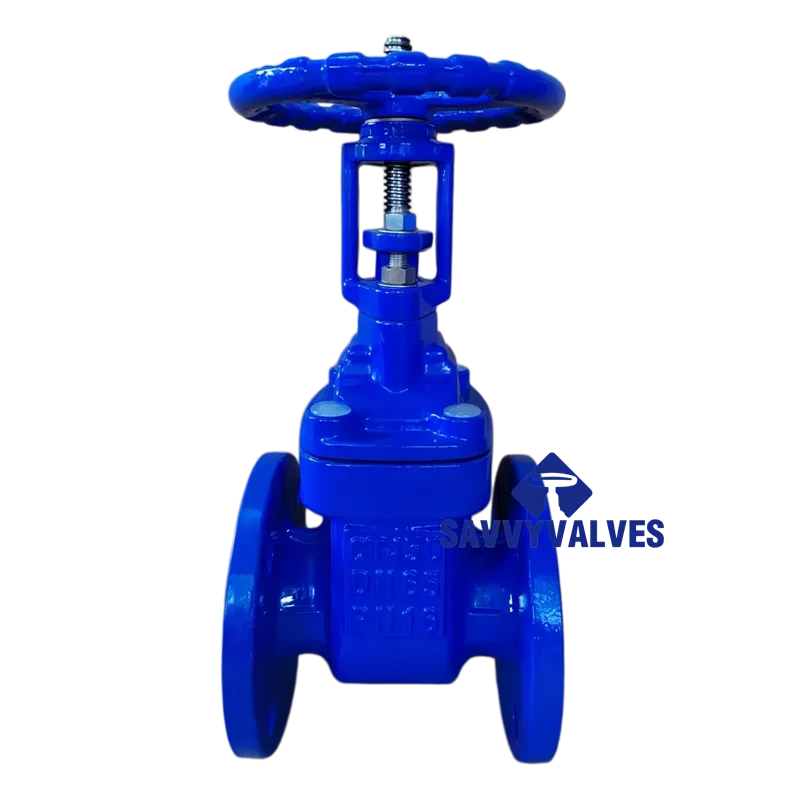DN65-PN16 Ductile Iron Bronze Seated OS&Y Gate Valve
