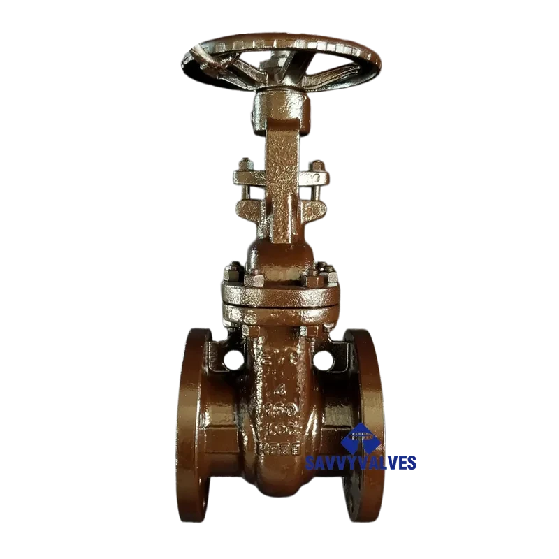 Coal Tar Coated RS Gate Valves