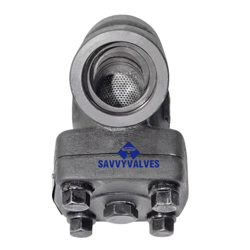 1-1/2″-800LB Y Pattern Strainer