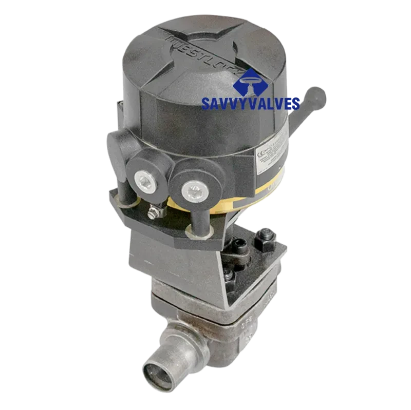 DN25-PN25-SW Top Entry Floating Ball Valve A