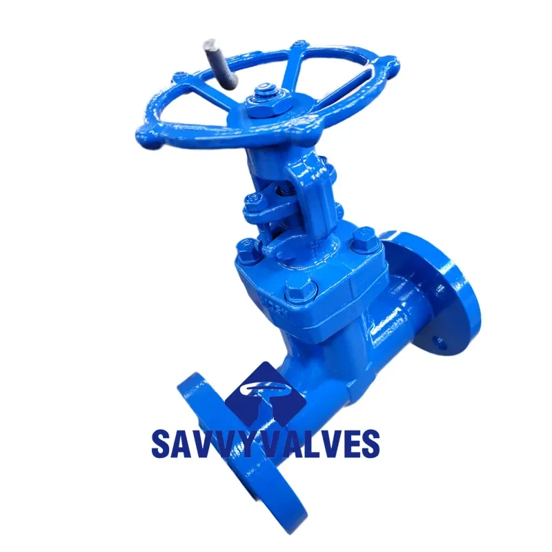 Closed Die-Forged Bellow Seal Globe Valve