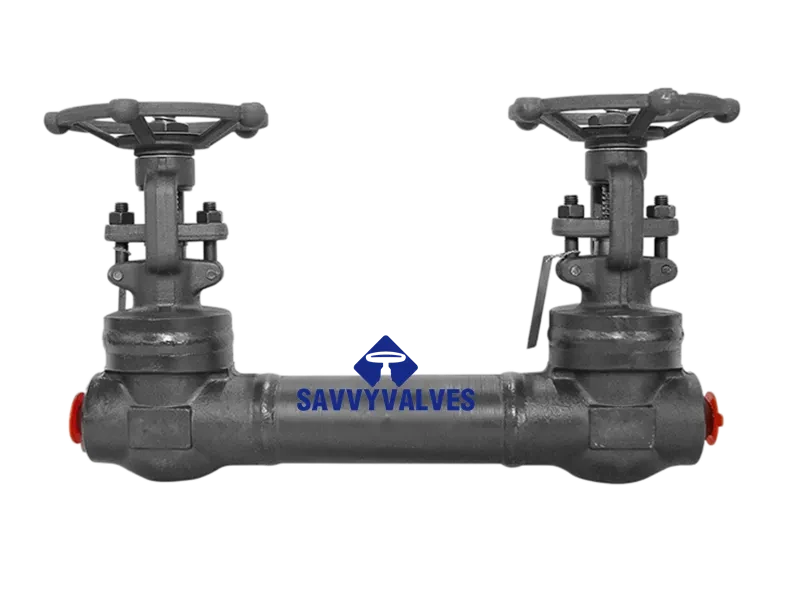 1″-2500LB-BW Double Block Gate Valve
