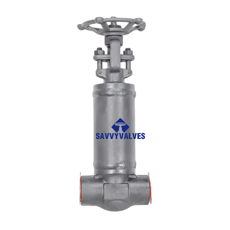 DN25-PN25-SW Bellows Seal Globe Valve