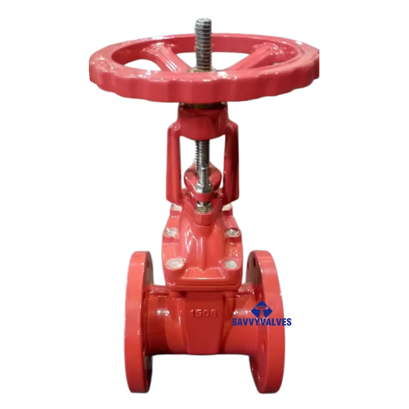 ANSI Resilient Seated Gate Valve