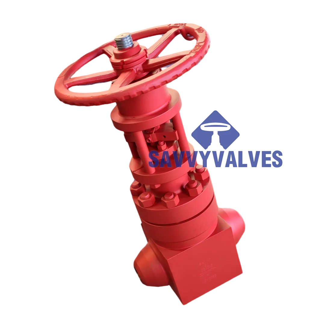 globe style control valves