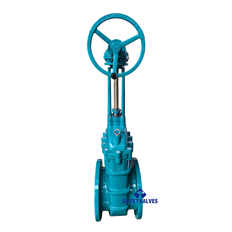 14″-125LB Cast Iron Metal Seated Rising Stem Gate Valve