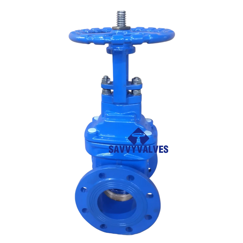 DIN Metal Seated RS Gate Valve