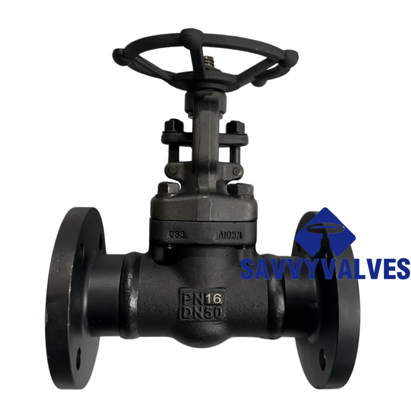 DN50-PN16 Welded Flanged Close Die Forged Gate Valve