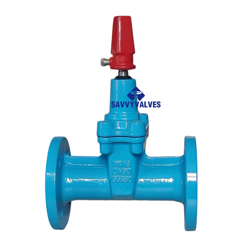 DIN Rubber Seated NRS Gate Valve（Key)