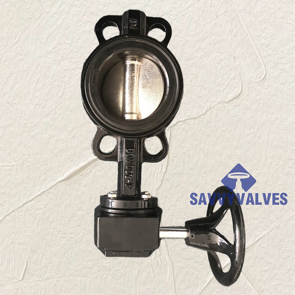 Loose-Liner Butterfly Valve
