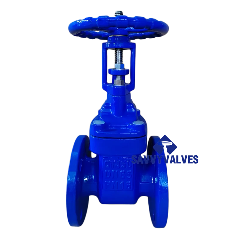 DN65-PN16 Ductile Iron Bronze Seated OS&Y Gate Valve