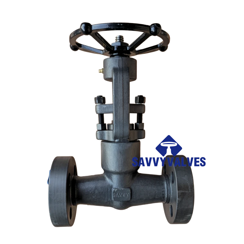 Closed Die Forged Globe Valve 1″-2500LB