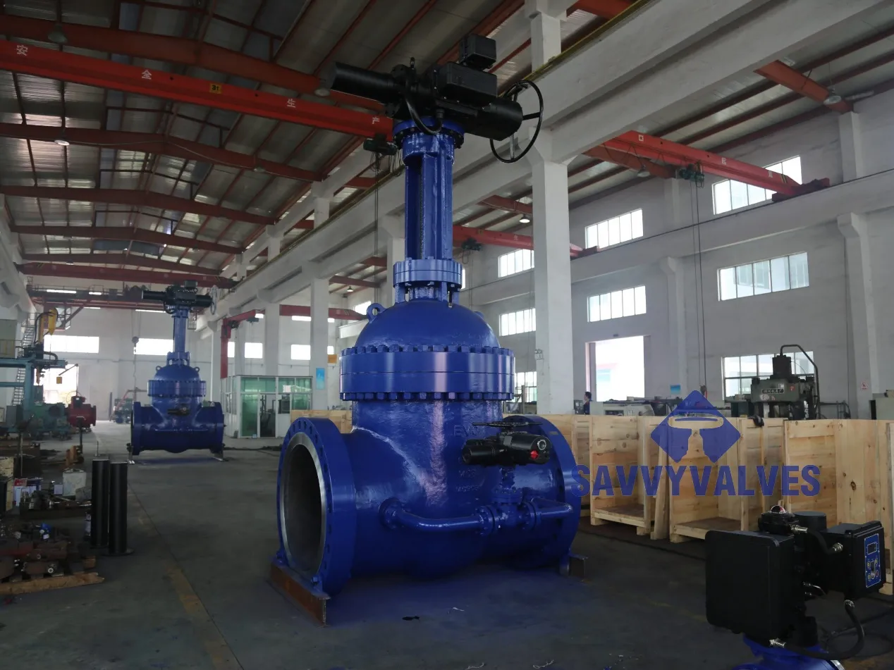 Discover the Perfect Gate Valve for Every Need