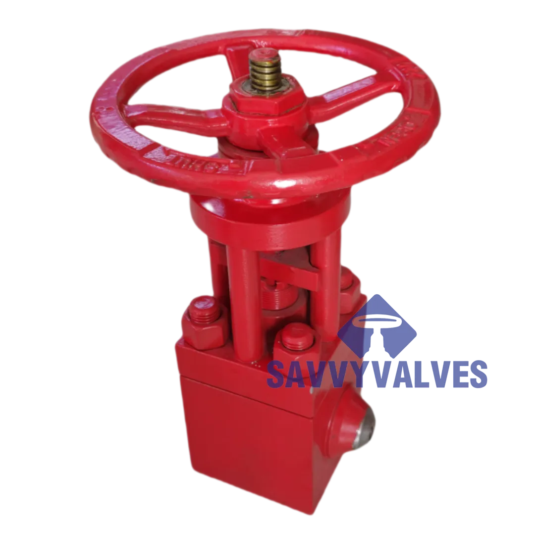 1 globe valve