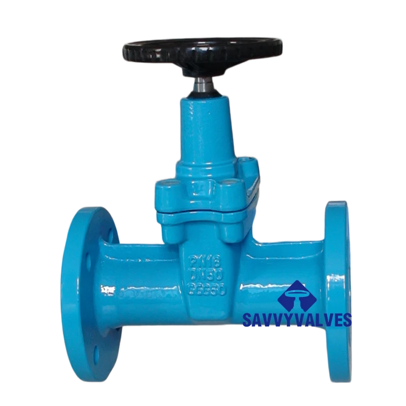 DIN Rubber Seated NRS Gate Valve (HW)