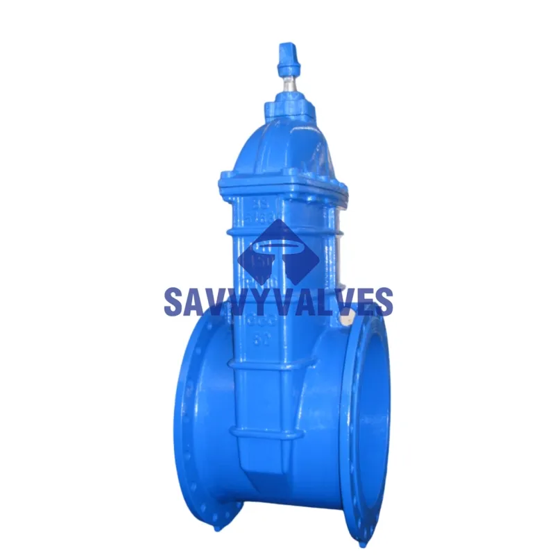 NRS Resilient Seated Gate Valve: Durable & Reliable Water Solutions
