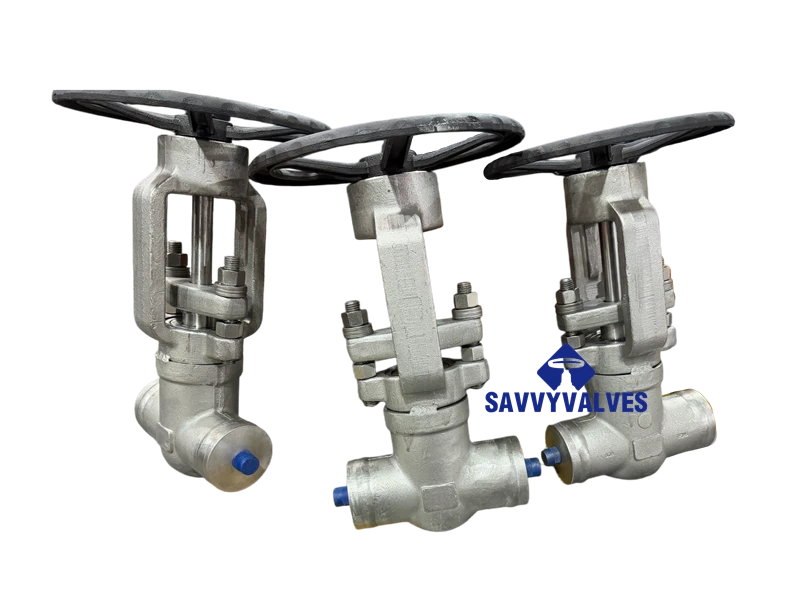 4500LB Closed Die Forged Globe Valve