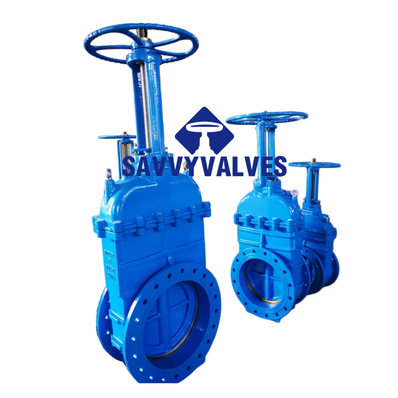 DN500-PN10 Cast Iron Metal Seated Rising Stem Gate Valve