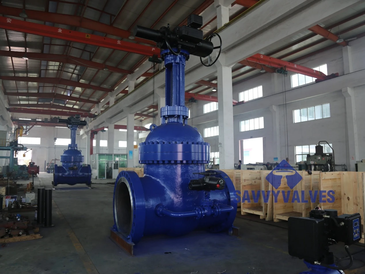 Discover the Perfect Gate Valve for Every Need