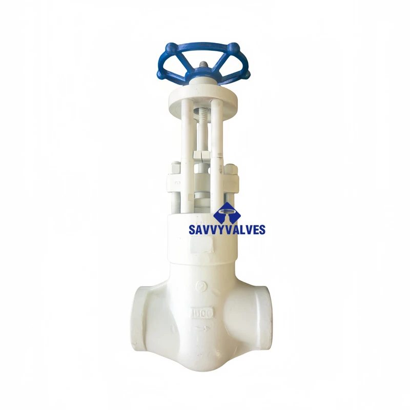 Class 1500 Closed Die Forged PSB Globe Valve