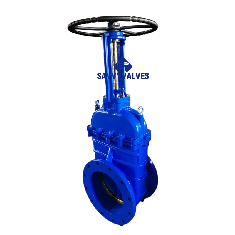 DN400 PN16 Cast Iron Metal Seated Rising Stem Gate Valve