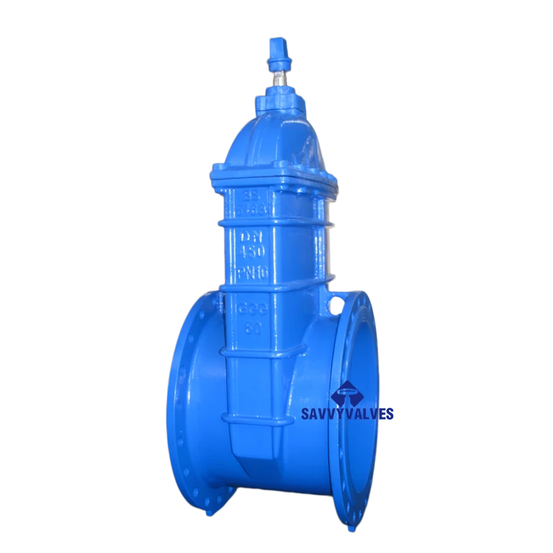 BS NRS Rubber Seated Gate Valve c/w Key Operator