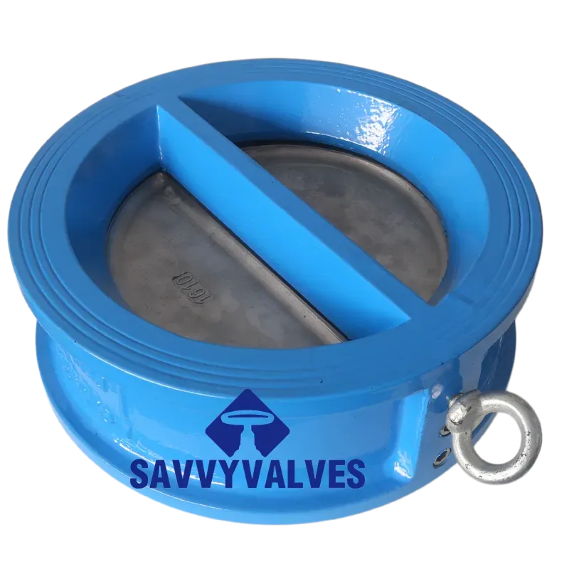 10 check valve 10 check valve