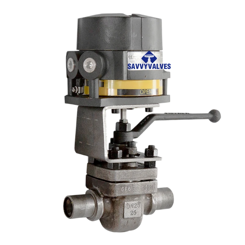 DN25-PN25-SW Top Entry Floating Ball Valve A