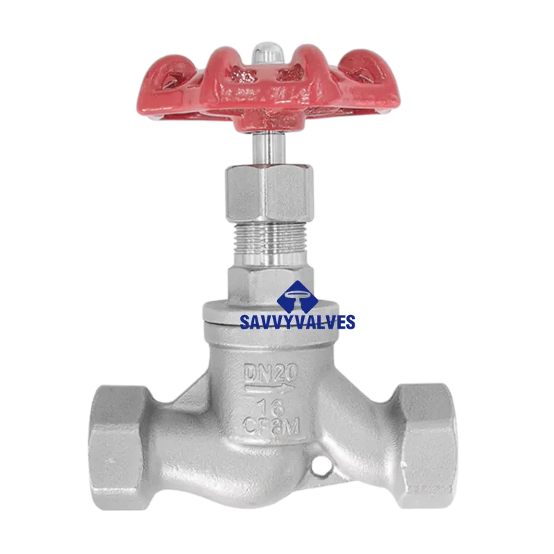 DN20-PN16 NRS SS Globe Valve