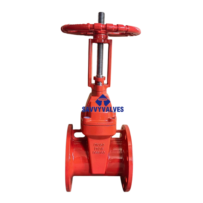 DN150-PN16 Ductile Iron Metal Seated Rising Stem Gate Valve