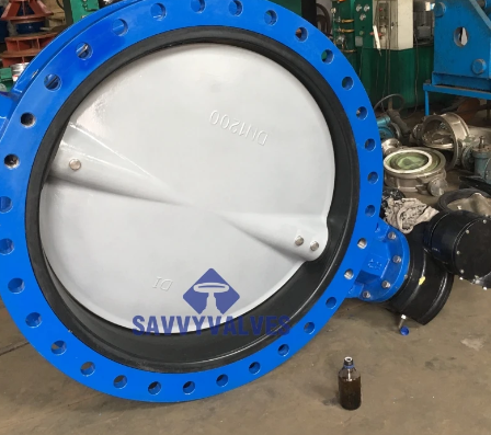Butterfly valve types and classifications