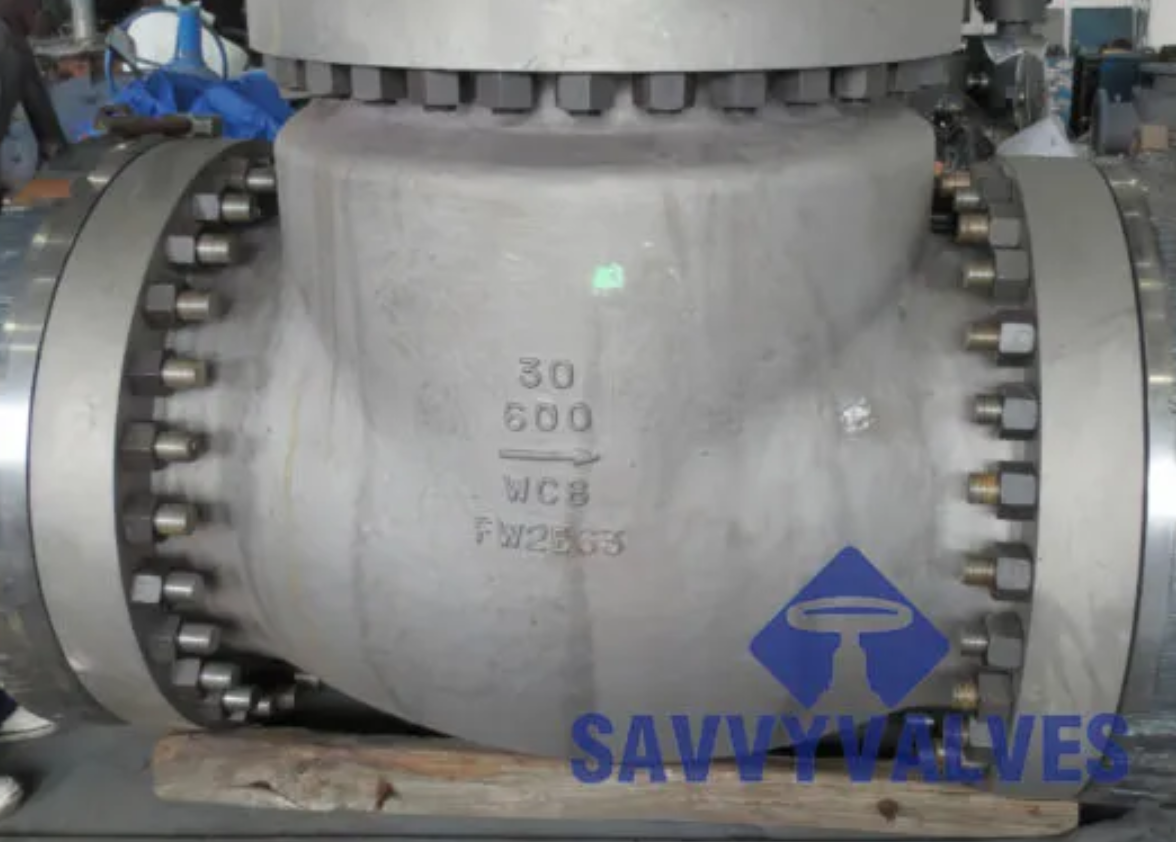 15mm check valve with isolator operation principles