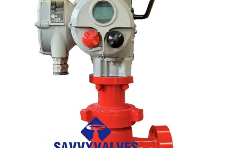 Choke valve well control functions