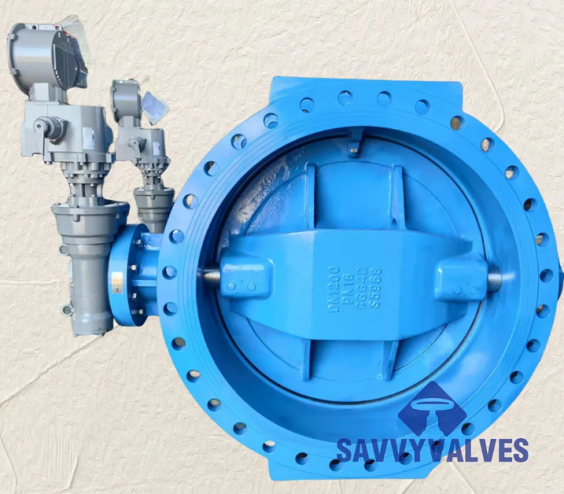 Double Eccentric Butterfly Valves in Deep-Sea Exploration