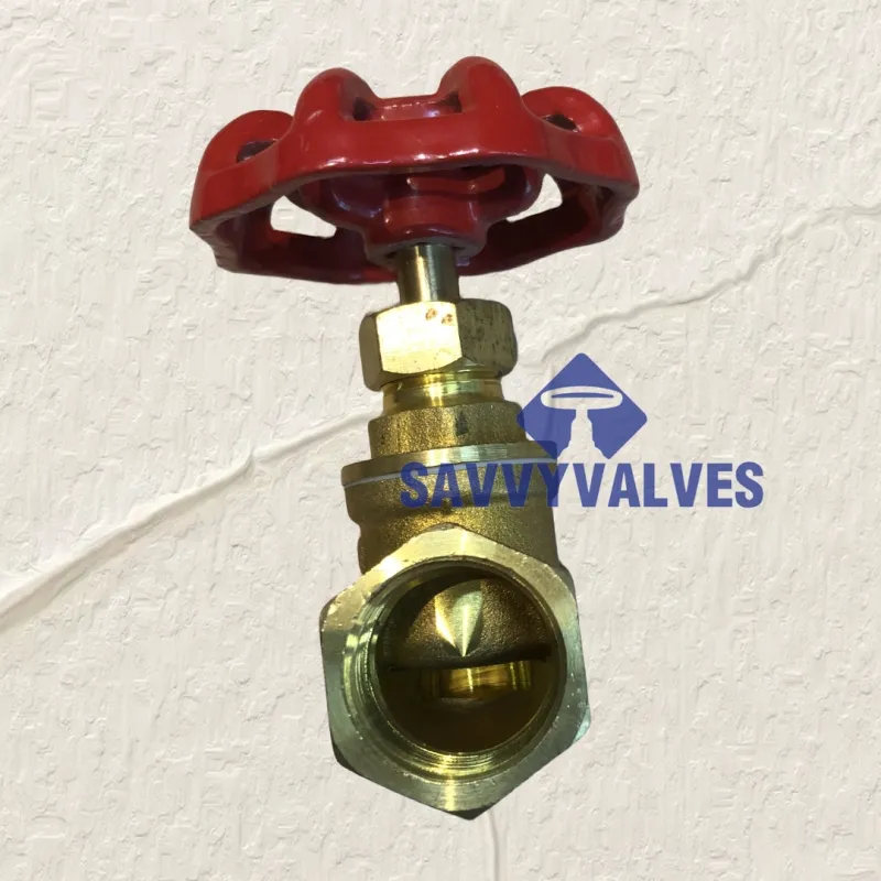 How to  Identify a Faulty Globe Valve Brass