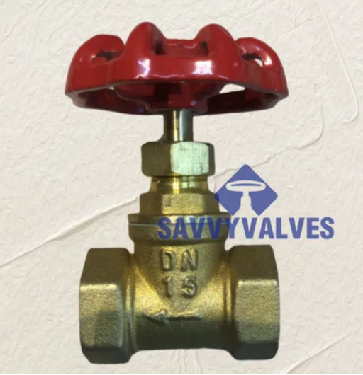 How to  Identify a Faulty Globe Valve Brass