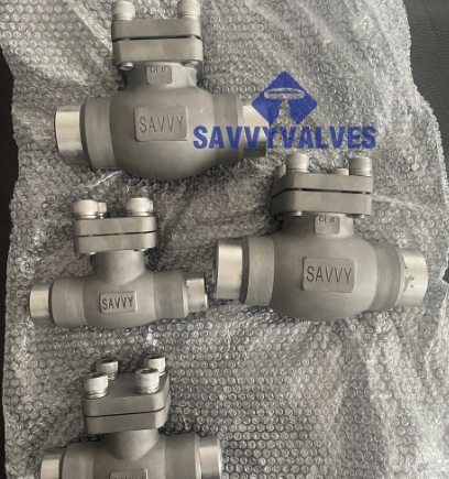 Cryo Check Valve  Installation Guidelines