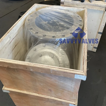 Y Type Filter For Everyday Pipeline Safety