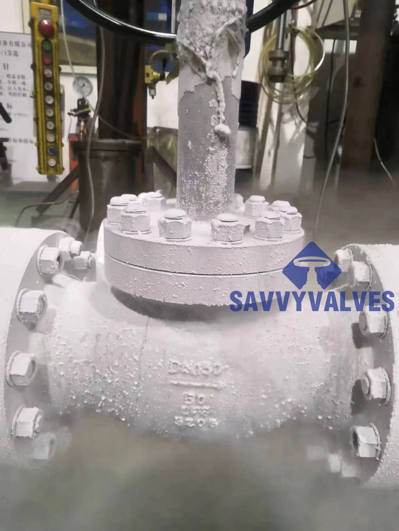 Cryogenic Valves In Low-Temperature Applications