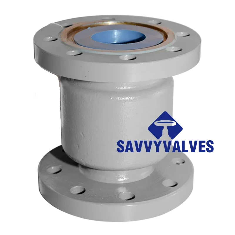 DN80-PN40-RF Axial Check Valve