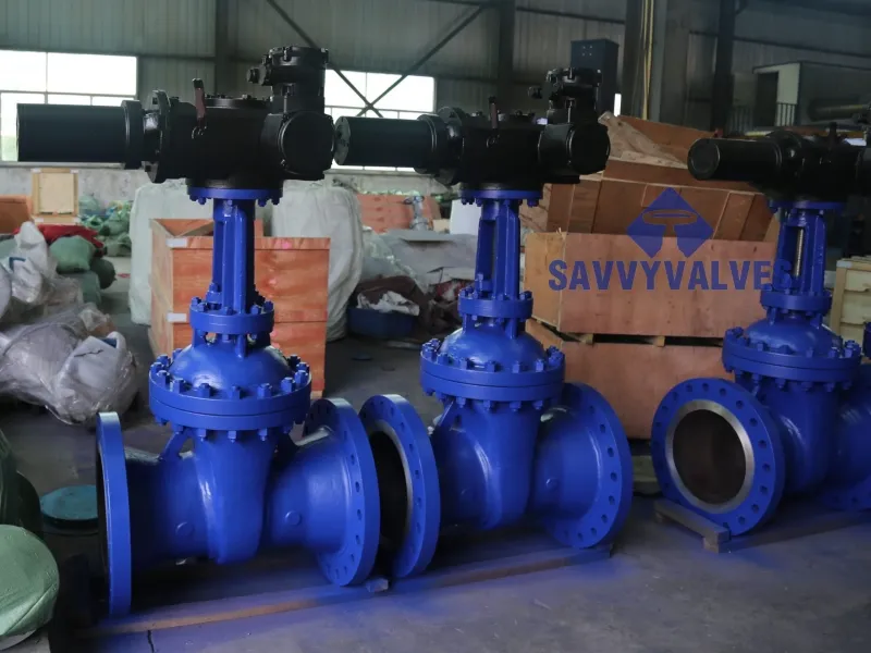 SAVVY motorised Solid wedge gate valve with BB, OS&Y, RS?