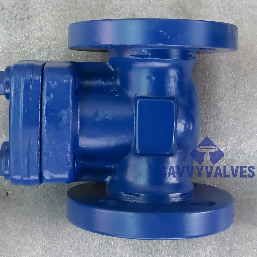 Forged Steel Lift Check Valve - High Pressure Durability