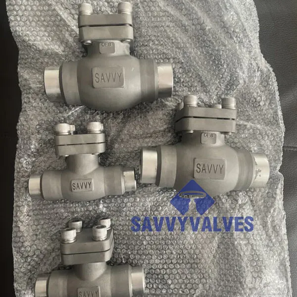 cryogenic check valve