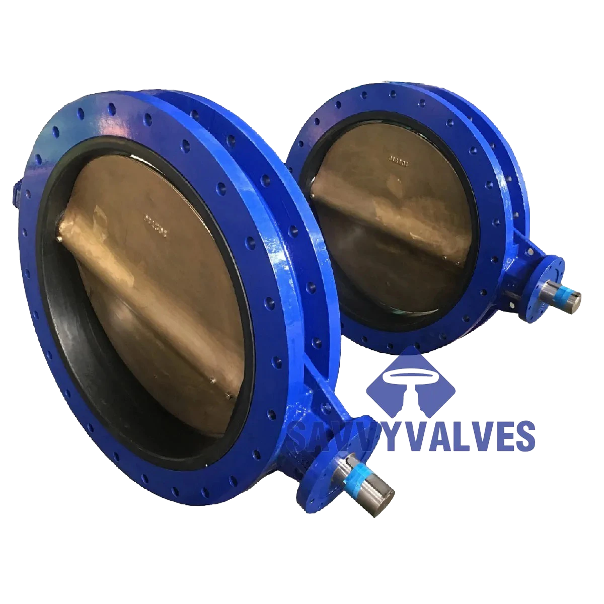 Marine U Section Double Flange Butterfly Valve