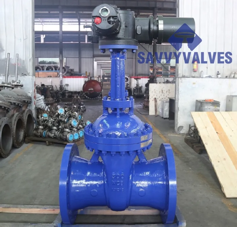 SAVVY Motorised Solid Wedge Gate Valve: Automated, Robust Control