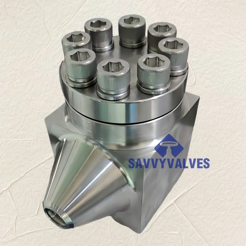 CNG LNG Cryogenic piston lifting check valve free forged