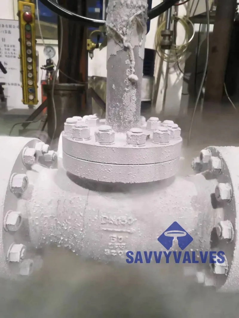 Cryogenic Globe Valve: Reliable Flow Control for Extreme Cold