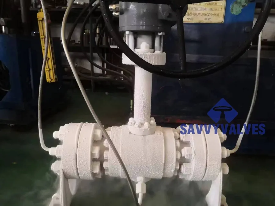 High-Performance Cryogenic Trunnion Ball Valves for Extreme Cold